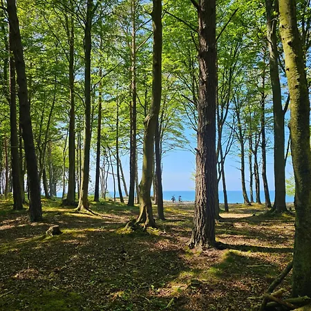 3b Niebieskie Z Basenem Krytym, Odkrytym, Sala Zabaw, Animacjami Lejlighed Poddąbie