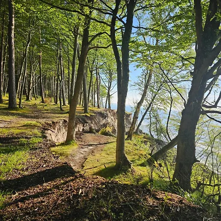 3b Niebieskie Z Basenem Krytym, Odkrytym, Sala Zabaw, Animacjami