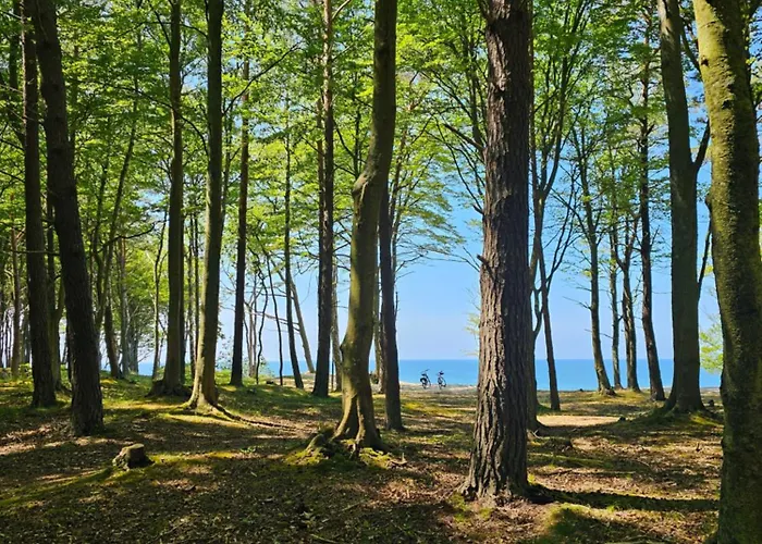 3b Niebieskie Z Basenem Krytym, Odkrytym, Salą Zabaw, Animacjami Apartament Poddąbie