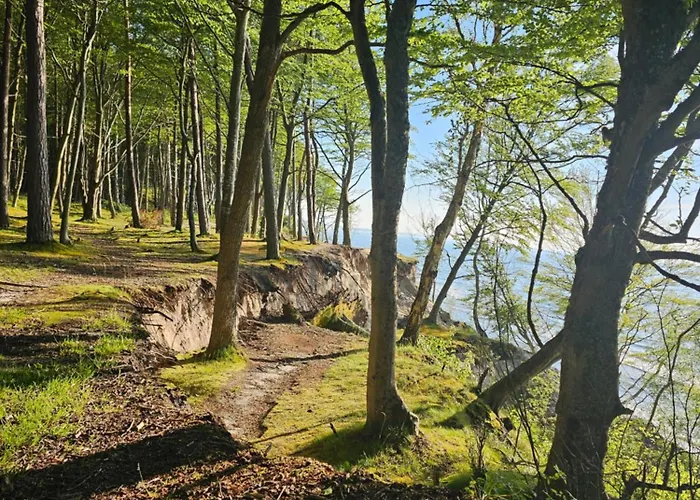 3b Niebieskie Z Basenem Krytym, Odkrytym, Salą Zabaw, Animacjami