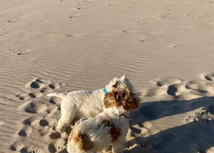 Apartament 3b Niebieskie Z Basenem Krytym, Odkrytym, Salą Zabaw, Animacjami Poddąbie